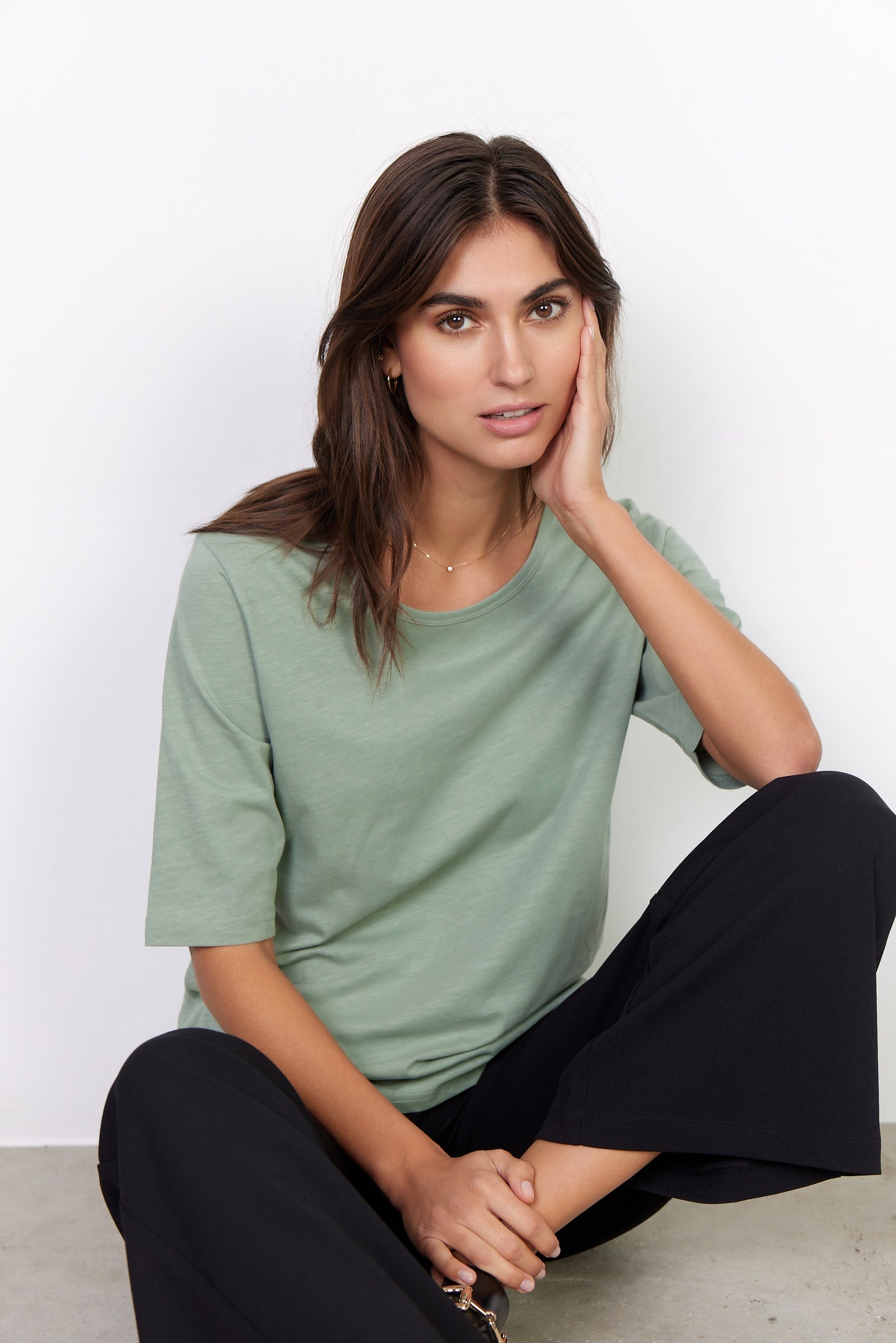 Soya 26024 06-BAES-01